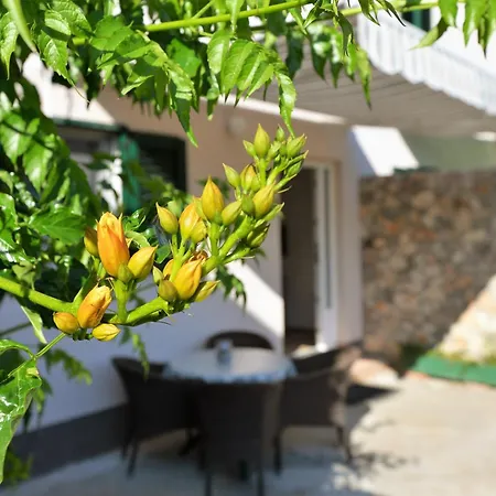 Slanica Mate * Murter