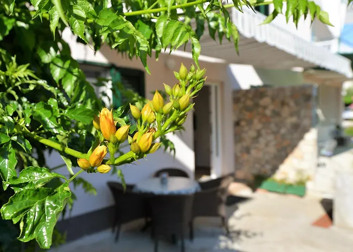 Slanica Mate * Murter